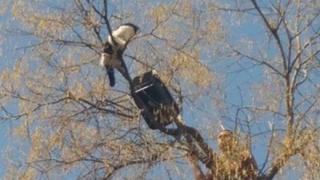 Няма да повярвате заради какво алпинист от Бургас измина 300 километра до Пловдив (СНИМКИ)