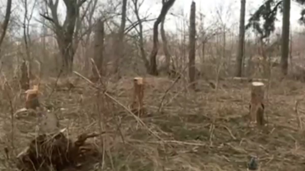 Хора искат охрана на Западния парк в София заради...