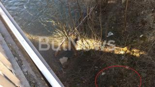 Висш полицай изчезна след мистериозна катастрофа край Роман, водолази го издирват в Искър (СНИМКИ)