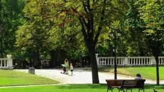 Важна забрана за шофьорите в София!  