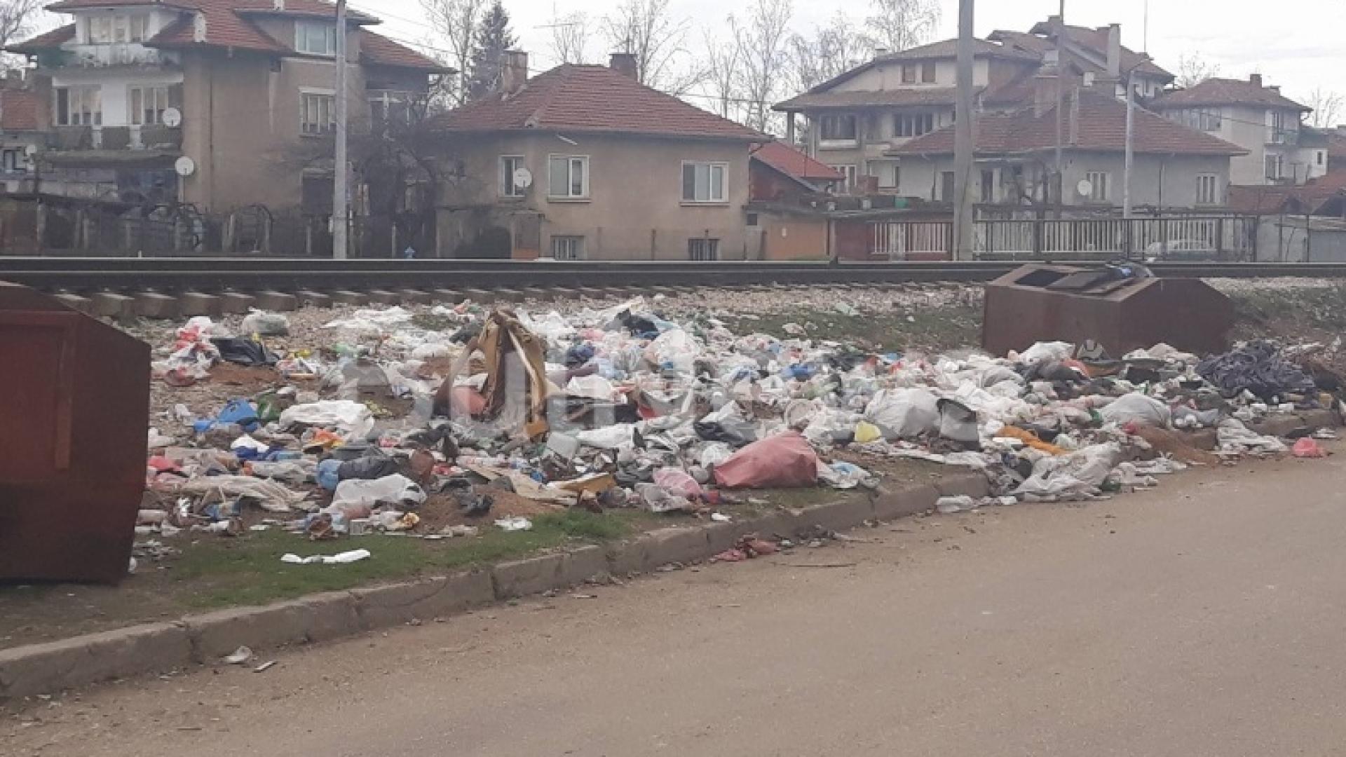 Така живее ли се? Квартал в Монтана тъне в боклуци, а от общината... (СНИМКИ)