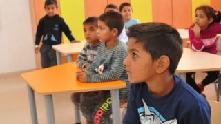 Ромчетата първолаци ще се къпят в привилегии