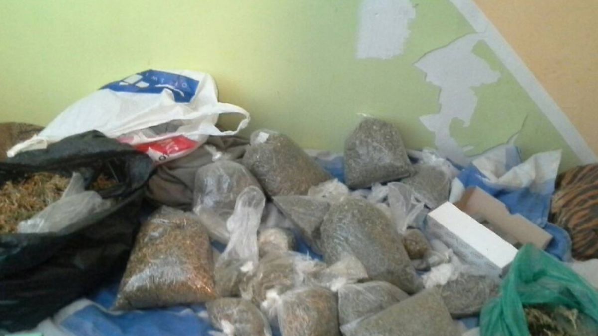 Оранжерии за джойнт откриха в столичния квартал "Разсадника" (СНИМКИ) 