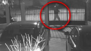 Изрод с БМВ трови кучета в Бургас! Джак ръселът Майло умря в адски мъки (ВИДЕО)