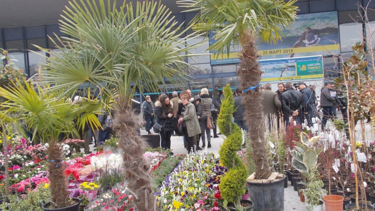 Всичко за дизайна на градината показва „Цветна пролет 2018“