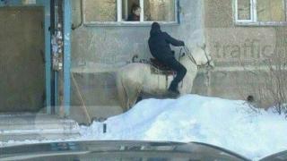 Уникална СНИМКА от Пловдив: Кой каза, че няма принц на бял кон и принцеса на прозореца