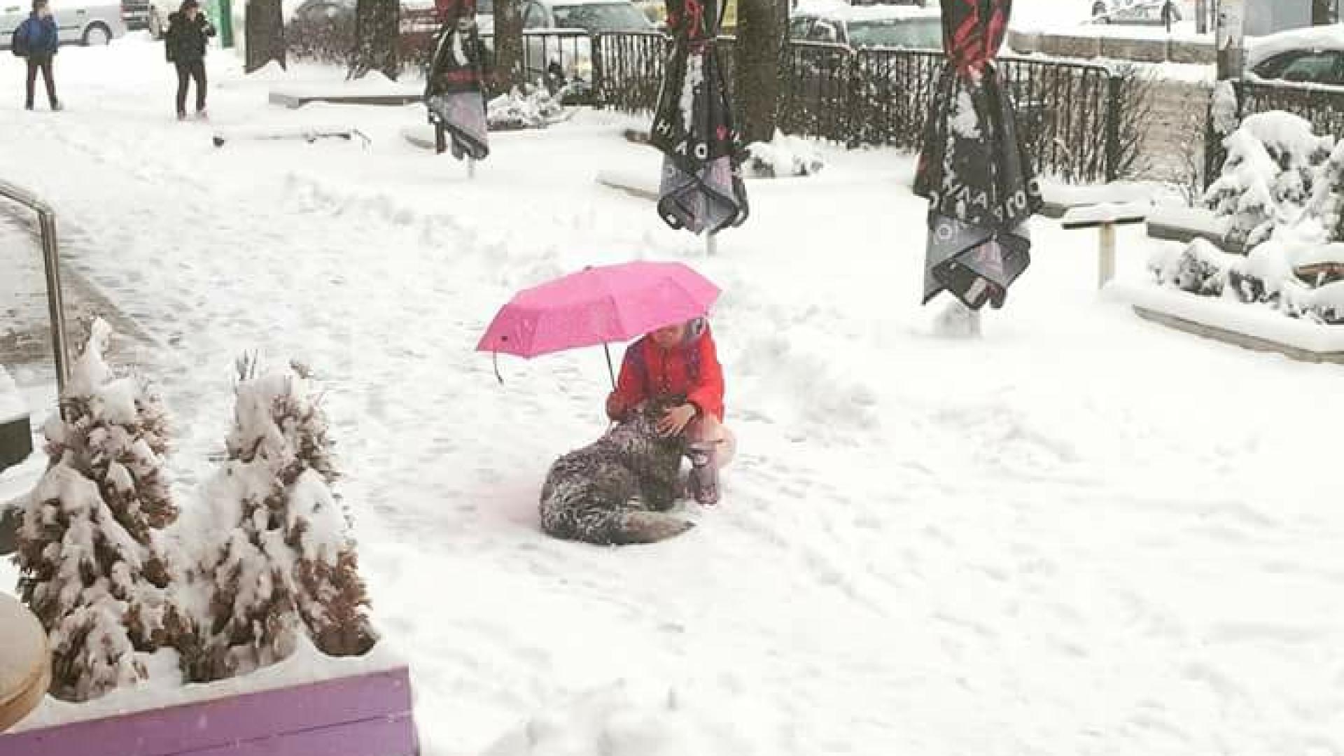 Това малко ангелче стопли сърцата на перничани (СНИМКА)