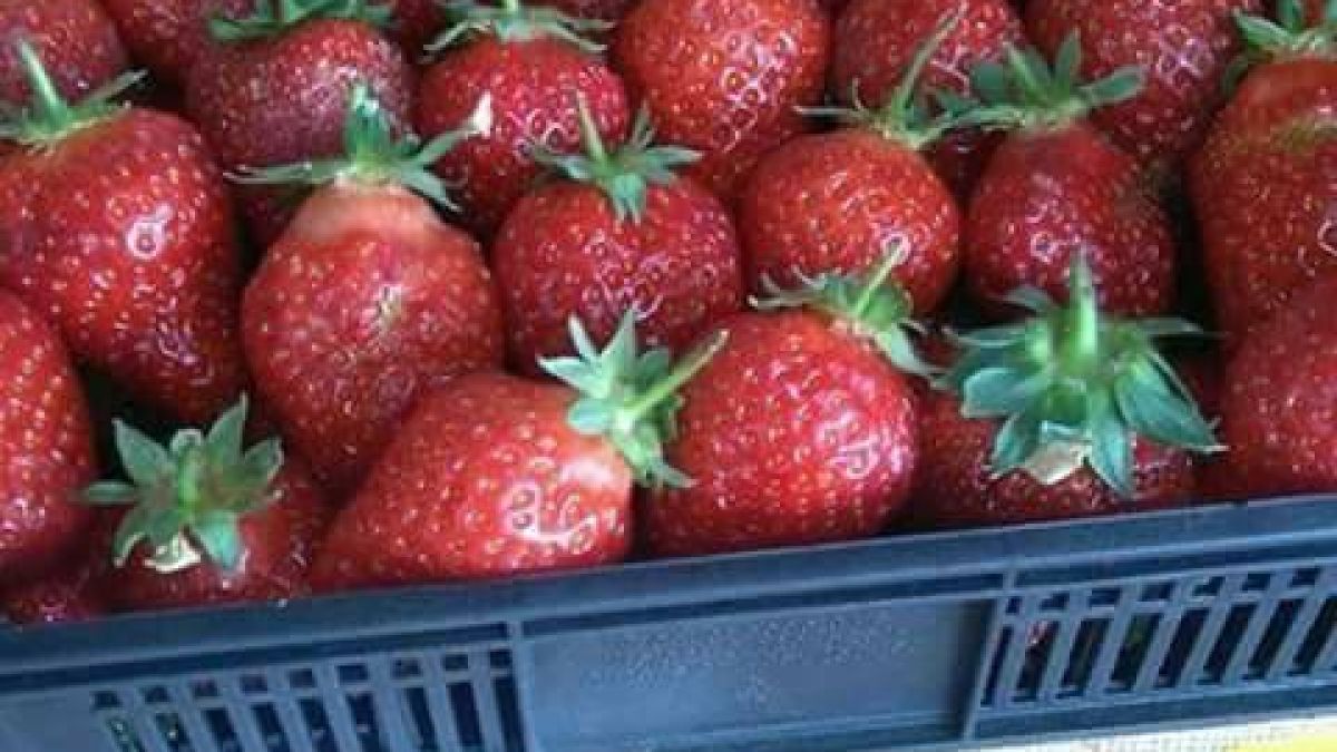 Този път съвсем изнагляха! Продават на пазара кило ягоди на цена колкото половин пенсия (СНИМКА)