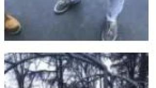 Агресивен ротвайлер нападна три момчета в Казанлък, наложи се да го упоят (СНИМКИ)