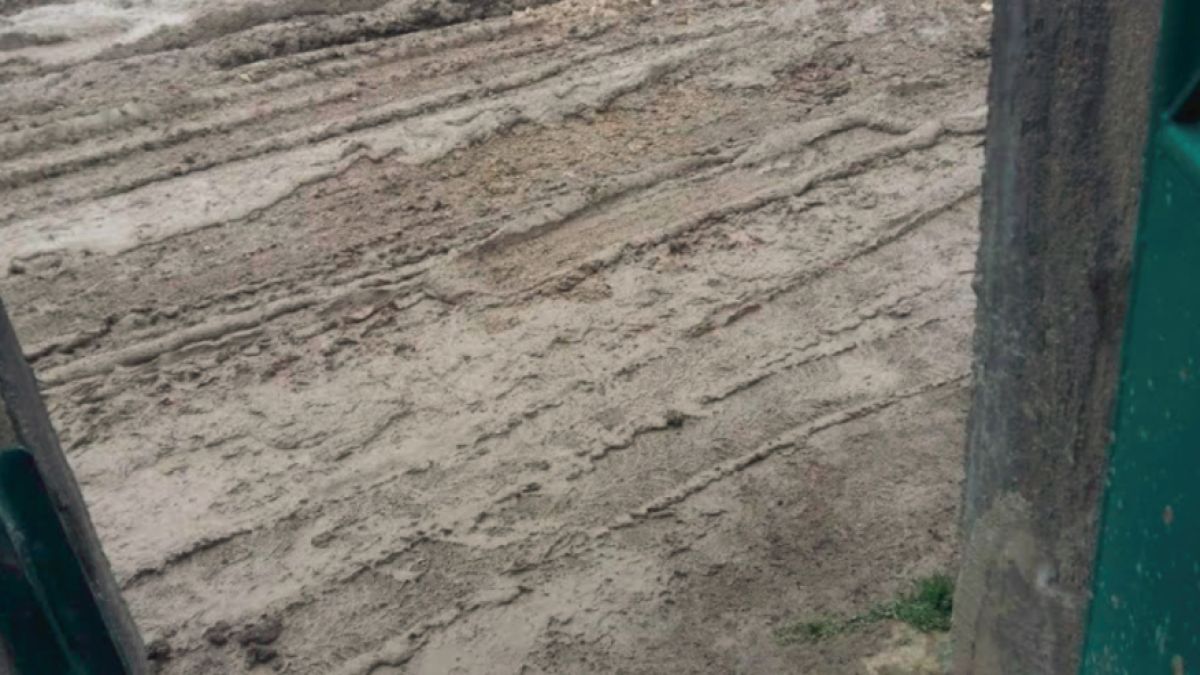 Варна затъна в кал, положението е отчайващо! (СНИМКИ)
