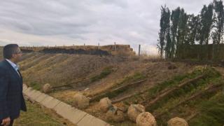 Кипарисите на „Тракия“ пострадаха от крадливи набези, възстановяват ги с държавни пари 
