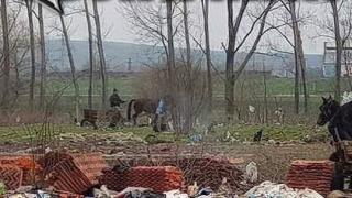 След днешния набег положението в завода в Средец е страшно - ромите превърнаха гордост на капитализма в гето! (СНИМКИ)