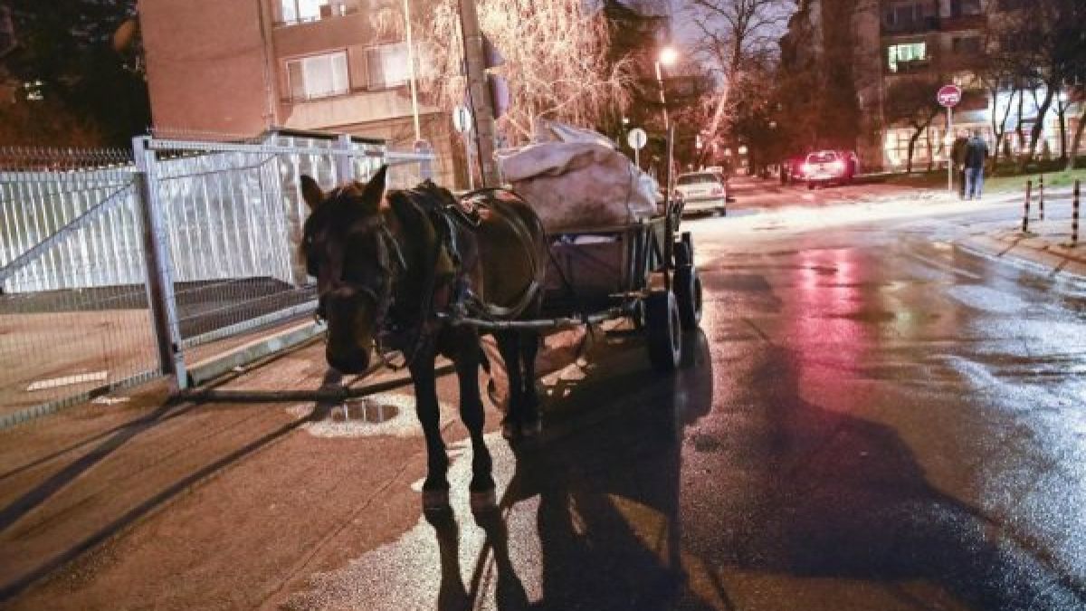 Такова чудо с кобила и роми на софийска улица не е ставало досега! (СНИМКИ)