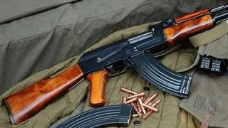 В Унгария арестуваха германец, продавал „антиимигрантски“ пистолети и калашници 