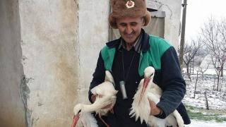 Спасителят на бедстващите щъркелите в Силистренско има нужда от помощ