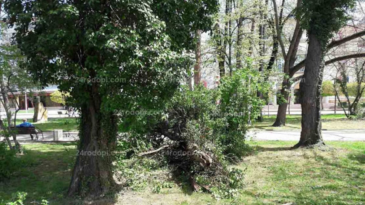 В Кърджали се разминаха на косъм от огромна трагедия (СНИМКИ)