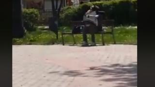 Само в БЛИЦ! Скандално ВИДЕО и СНИМКИ 18+ изловиха как разгонена двойка прави секс посред бял ден в столичен парк