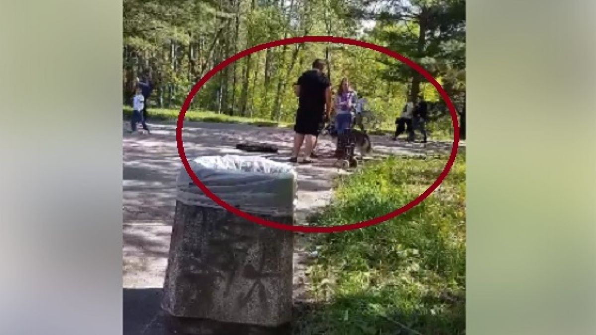 Мошеник се прави на фалшив цигулар, за да събира стотинки в София, но беше позорно разобличен
