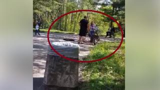 Мошеник се прави на фалшив цигулар, за да събира стотинки в София, но беше позорно разобличен