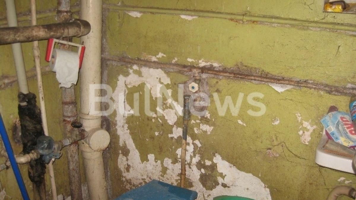 Потресаващо! Ще повярвате ли, че това жилище във Враца е обитаемо (СНИМКИ)