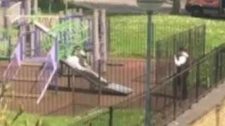 Палави полицаи се снимат на детски люлки и пързалка (ВИДЕО)