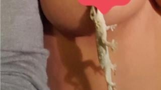 Възмутително! Ухапи ме по зърното - порнозвезда, която учеше децата на морал, пусна СНИМКА 18+ с гекон върху гърдите ѝ
