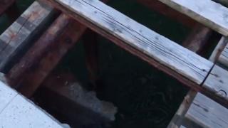 Възмутен читател на БЛИЦ показа потресаващо ВИДЕО, заснето в Слънчев бряг