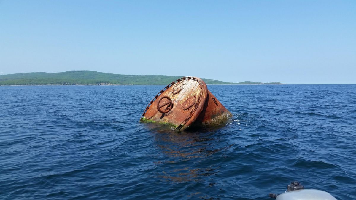 Много любопитно нещо изплува край Приморско