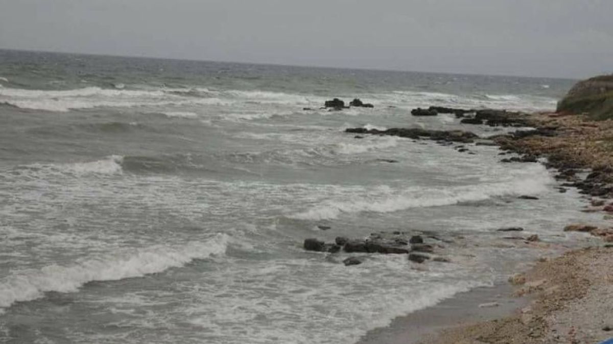 Писъци на умряло огласиха Змийския остров край Созопол