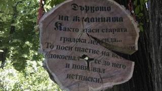 Това дърво помага на всеки, който го докосне