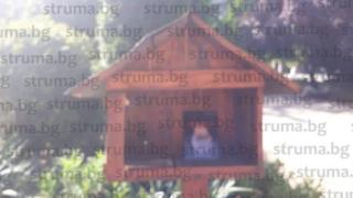 Сектанти правят бая грозни неща в Кюстендил