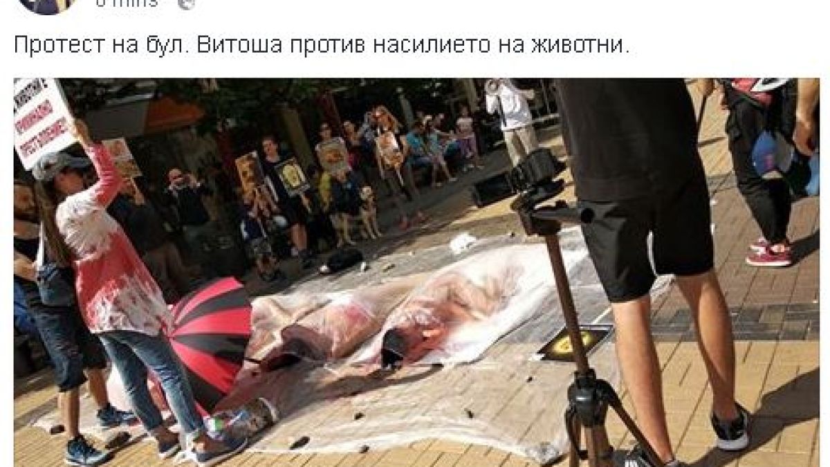 Ужас! Вегани "сготвиха" човешко в центъра на София (СНИМКИ 18+) 