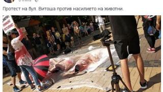 Ужас! Вегани "сготвиха" човешко в центъра на София (СНИМКИ 18+) 