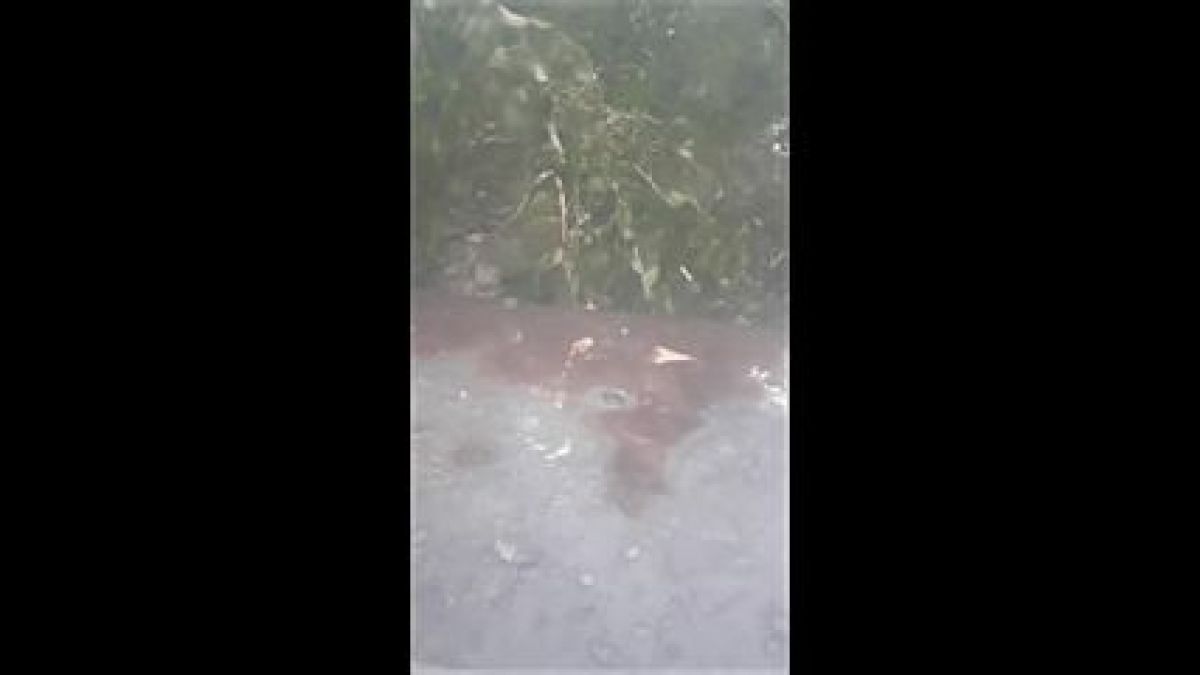Бури и градушки помляха България! Вижте силата на стихията в село Боголин и как гръм удря Пловдив (ВИДЕО)