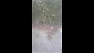 Бури и градушки помляха България! Вижте силата на стихията в село Боголин и как гръм удря Пловдив (ВИДЕО)