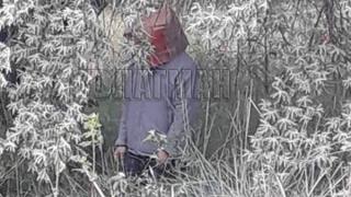 Смразяваща кръвта гледка изправи косите на бургазлии край плажа в Сарафово (СНИМКА 18+)