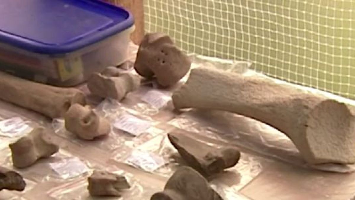 Еврика! Сензационното откритие край Иркутск пренаписва историята на човечеството (ВИДЕО)