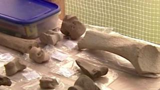 Еврика! Сензационното откритие край Иркутск пренаписва историята на човечеството (ВИДЕО)