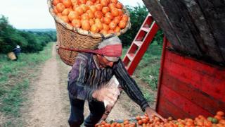 Учените откриха смъртоносна опасност за мъжете от физическо натоварване 