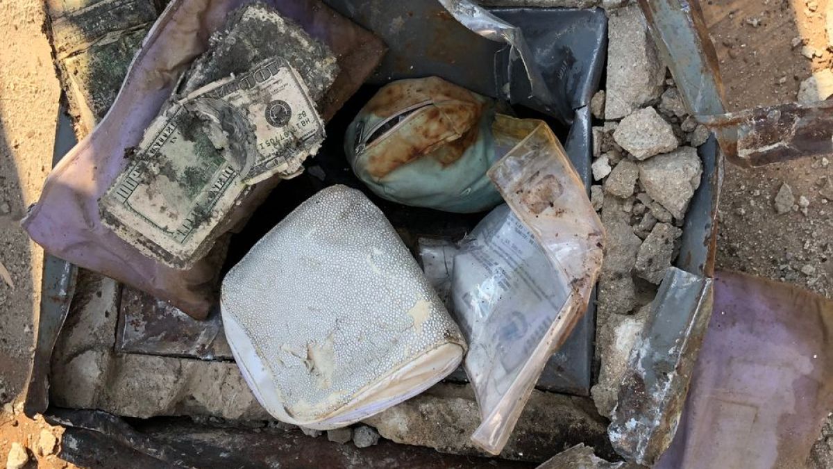 Семейство от Ню Йорк реши да смени живия плет в градината си и под корените откри голямо съкровище  (СНИМКИ)