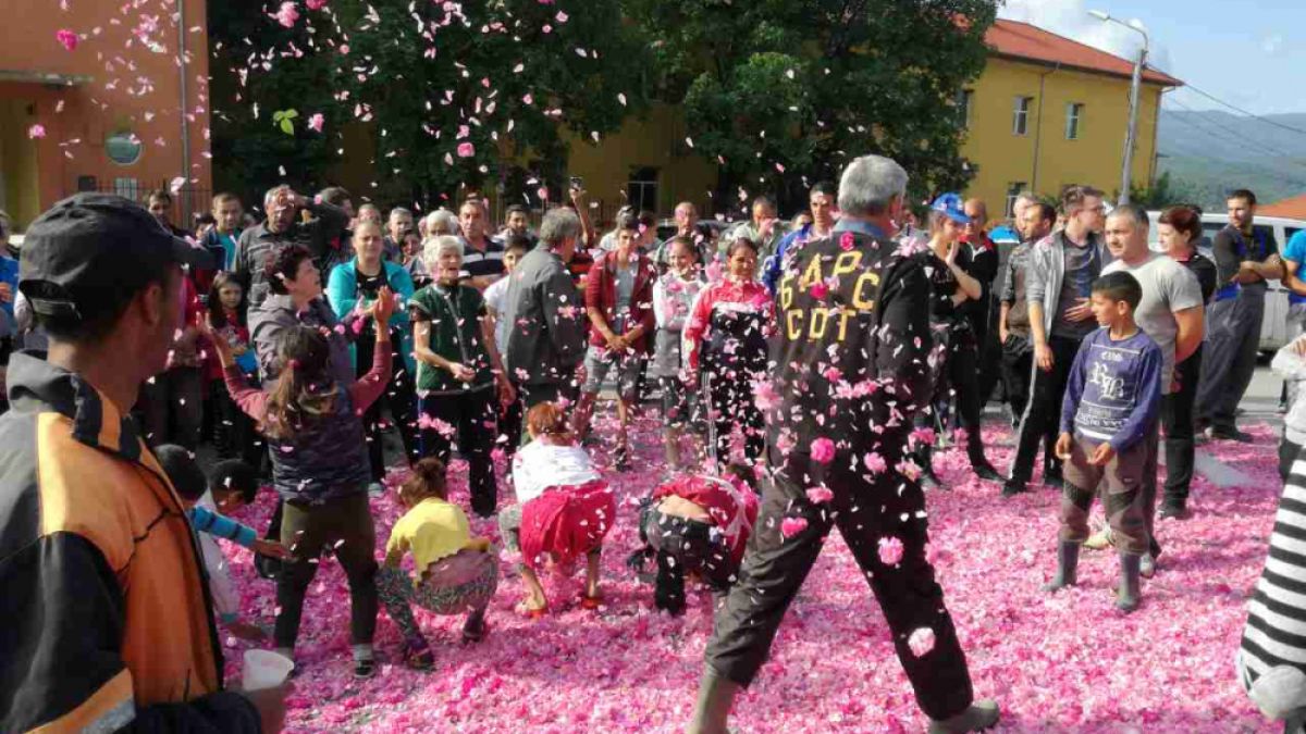 Първо в БЛИЦ: В Карловско блокираха пътища, разсипаха тонове розов цвят (СНИМКИ)