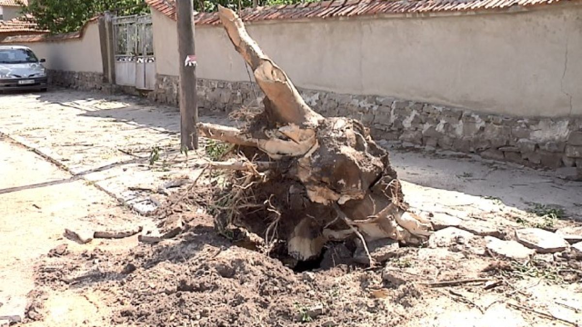 В Стралджа не помнят такова бедствие от години (СНИМКИ)