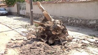 В Стралджа не помнят такова бедствие от години (СНИМКИ)