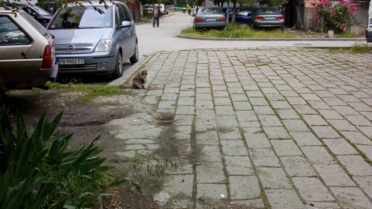Първо в БЛИЦ! Военен командос замесен в касапницата в Пловдив, наръгал е мъж след скандал (СНИМКА)