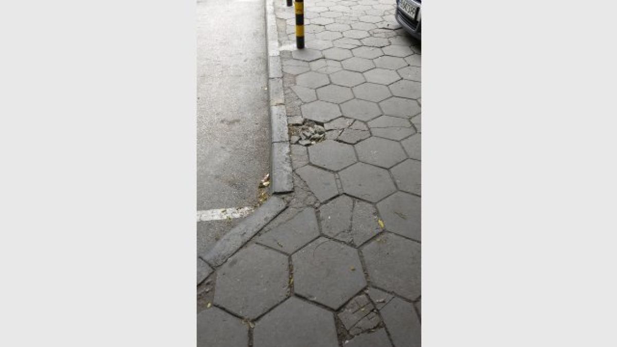 Това, което направи Цар Киро, накара пловдивчани да онемеят (СНИМКИ)