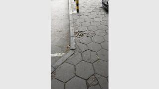 Това, което направи Цар Киро, накара пловдивчани да онемеят (СНИМКИ)