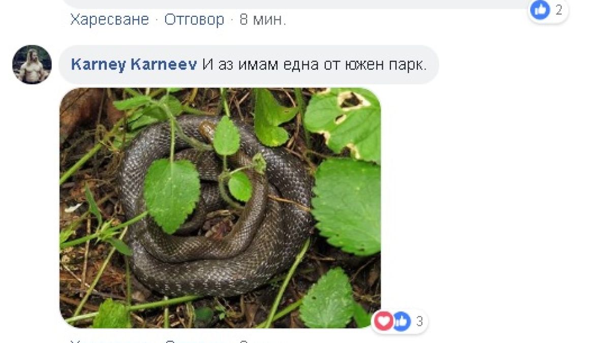 Първо в БЛИЦ! Змии плъзнаха в "Южния парк" (СНИМКИ)