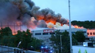 Гореща новина в БЛИЦ! Бизнес дамата от "Аванти" лекува с чисто нов "Мерцедес" щетите са за 4 милиона лева!