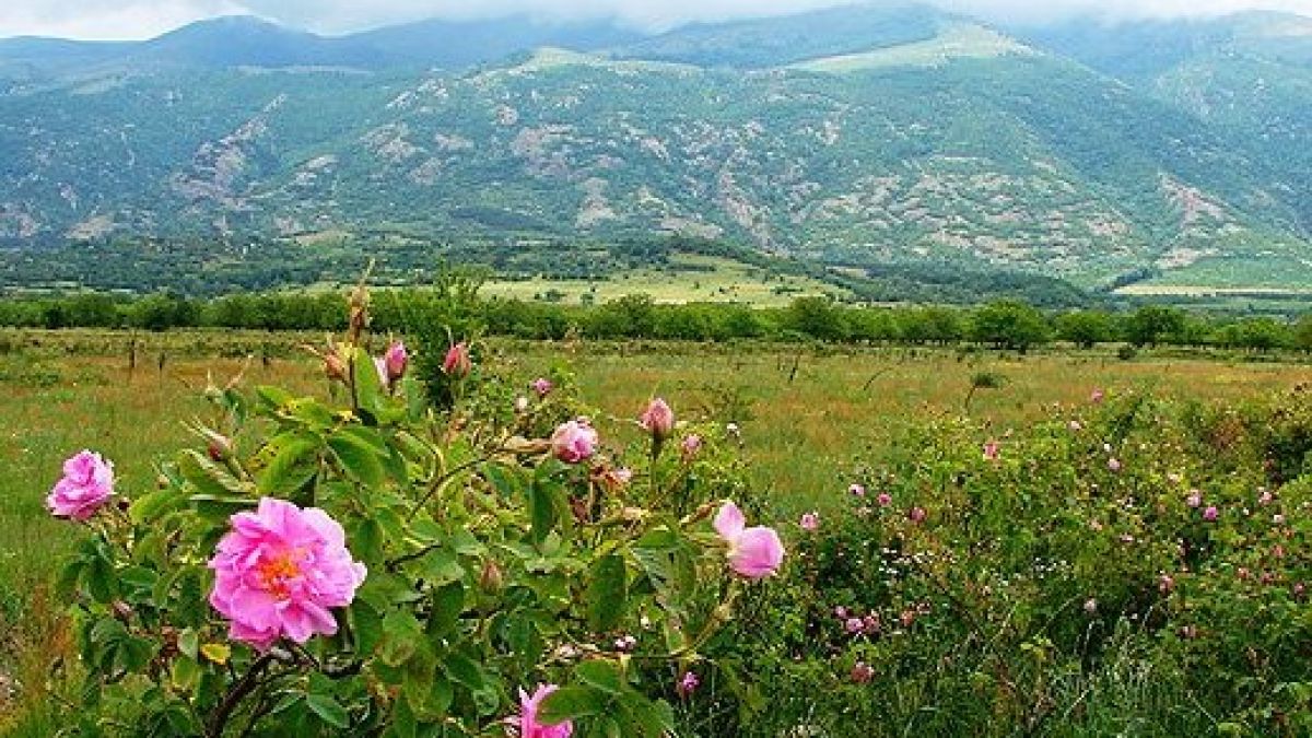 Българин доведе германската си приятелка в Долината на розите и тракийските царе и направи нещо, което завинаги ще промени живота ѝ (СНИМКА)