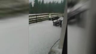 20 сантиметра ледена покривка след градушката в Родопите (СНИМКА)